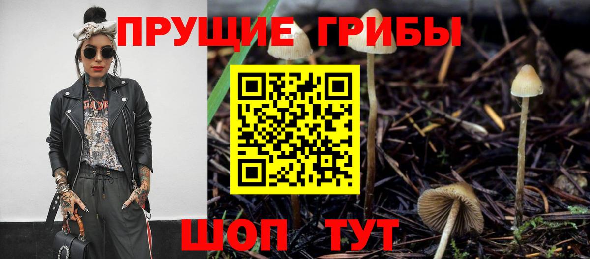 Псилоцибиновые грибы ЛСД Красный Сулин